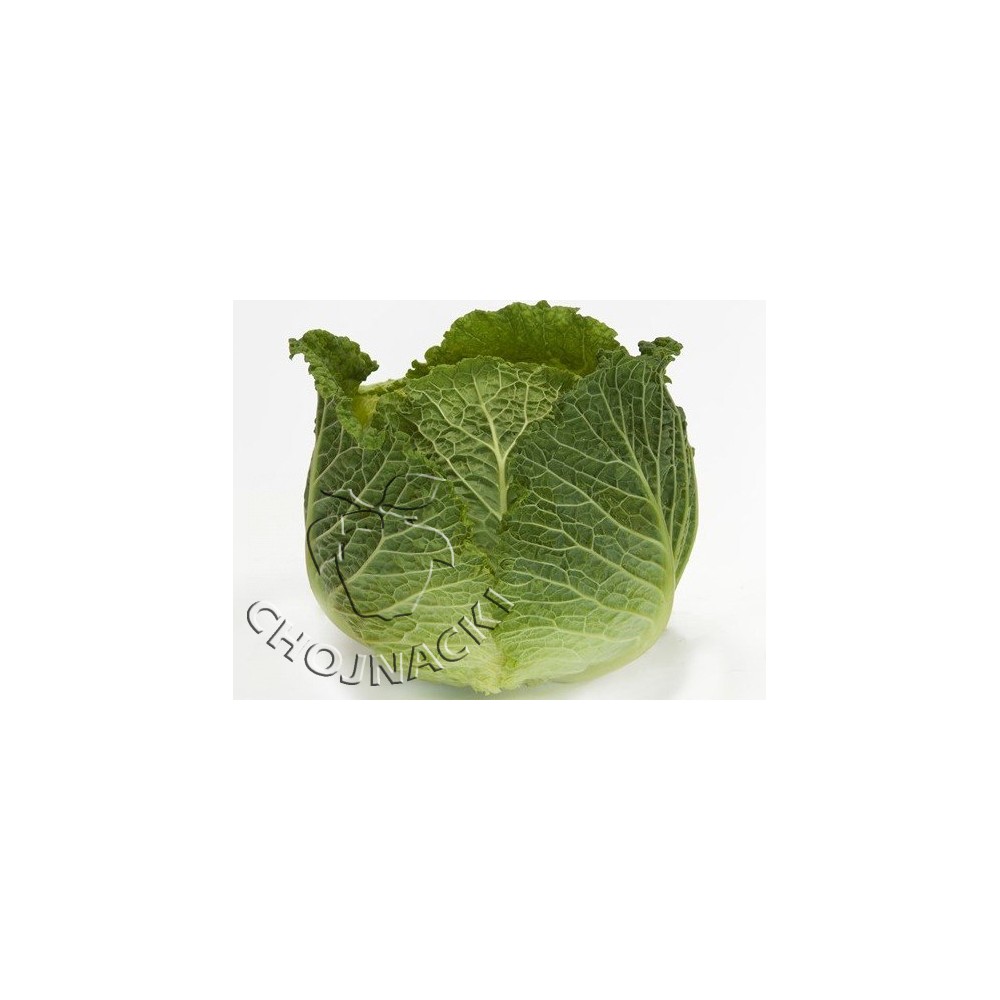 KAPUSTA WŁOSKA SONHO F1 2,5 TYS ST