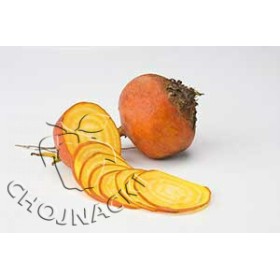 BURAK ĆWIKŁOWY ŻÓŁTY BOLDOR 50 TYS PRECYZYJNE