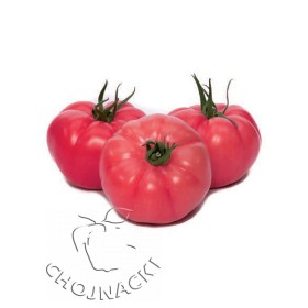 POMIDOR GUSTO PINK F1 500 NAS