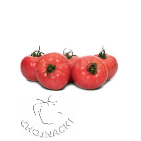 POMIDOR FUCHSIA F1 MALINOWY 500 NAS