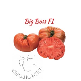 POMIDOR BIG BOSS F1 50N