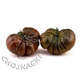 POMIDOR KARBOWANY BUCANERO F1 50 NAS