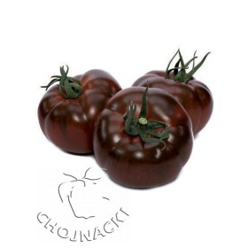 POMIDOR BIG SACHER F1 CZEKOLADOWY 50 NAS