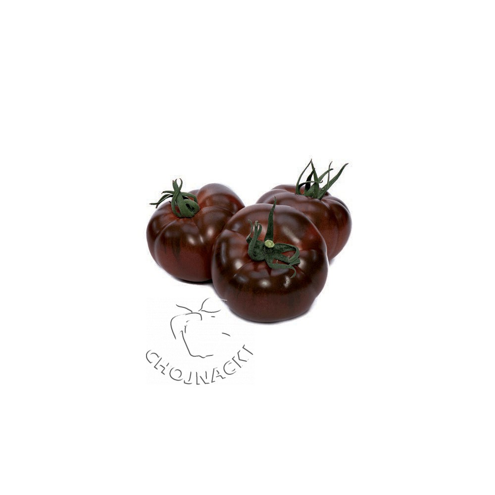 POMIDOR BIG SACHER F1 CZEKOLADOWY 50 NAS