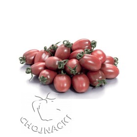 POMIDOR PURPURINA 50 N