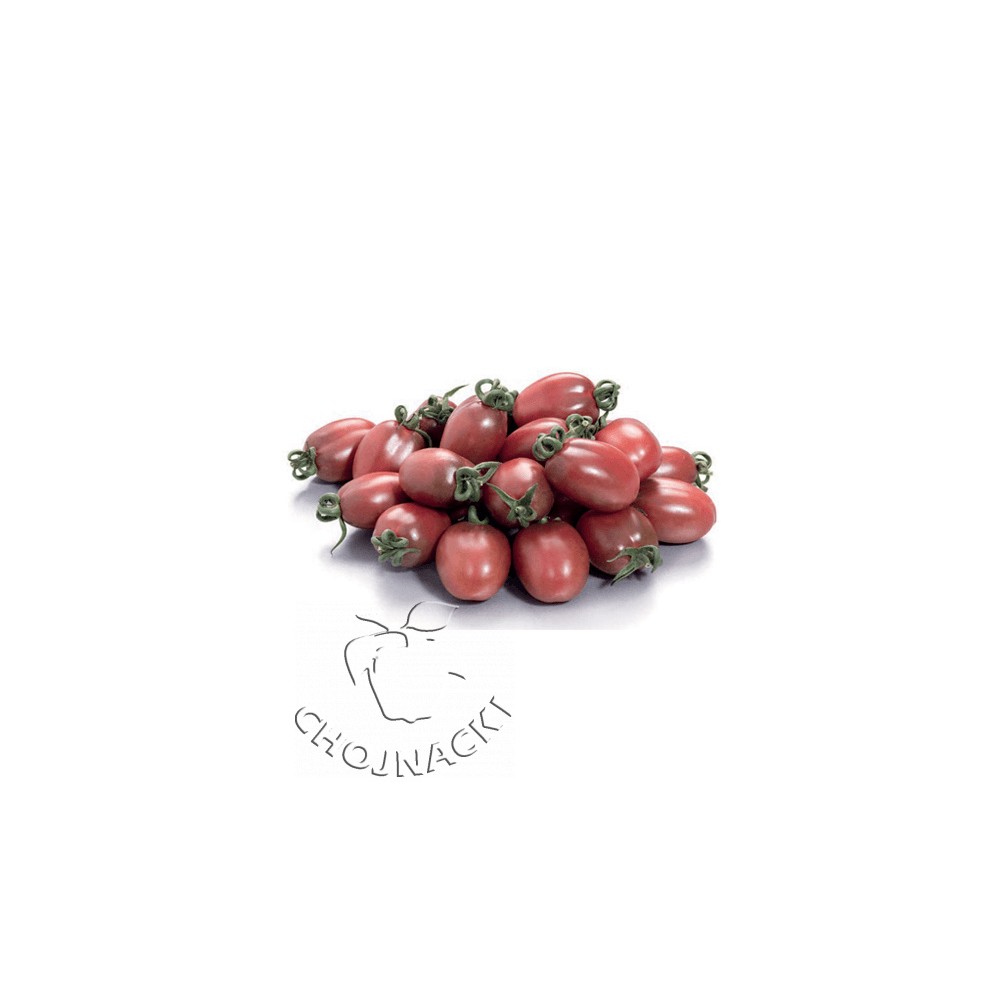 POMIDOR PURPURINA 50 N