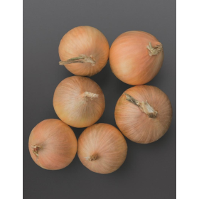 CEBULA OZIMA ELEMENT PREC. 250 TYS. NASION