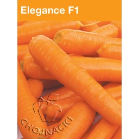 MARCHEW ELEGANCE F1 2,00-2,20 100 TYS