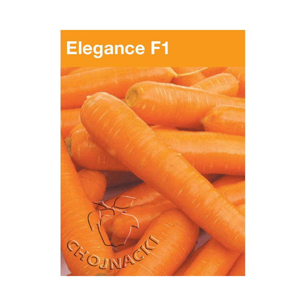 MARCHEW ELEGANCE F1 1,40-1,60 100 TYS PODKIEŁKOWANE