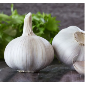 CZOSNEK WIOSENNY MORADO DE CUENCA 250G