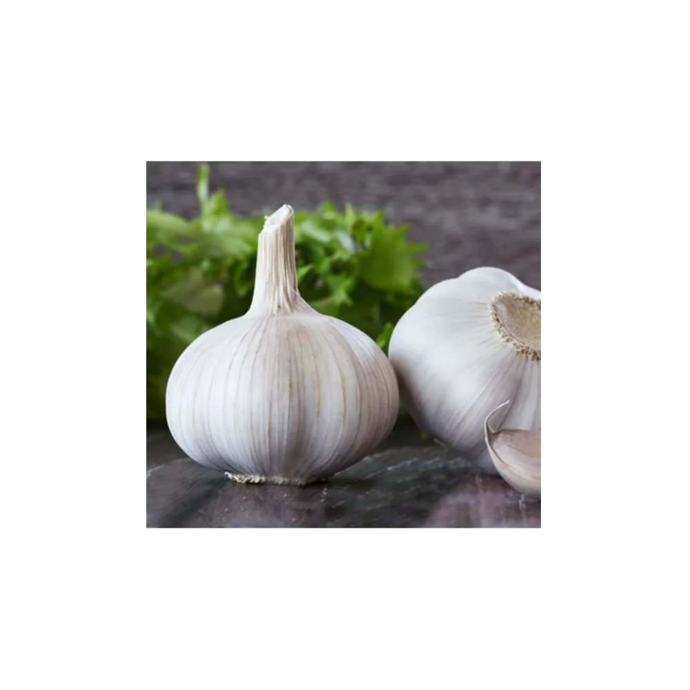 CZOSNEK WIOSENNY MORADO DE CUENCA 250G