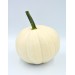 DYNIA HALLOWEEN BIAŁA BLANCO F1 PMT 250N ST
