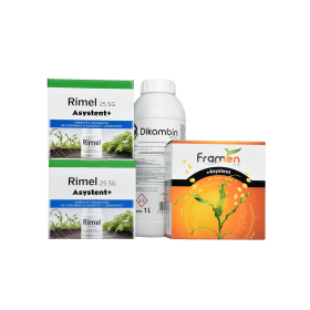 MOCNY FRAMEN (2HA) + RIMEL 25 SG (FARMEN 75SG 1X0,03+ASYSTENT 0,2L + DIKANBIN 480SL 1X1L + RIMEL 25 SG 2X0,06KG+ ASYSTENT 2X0,1L