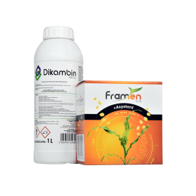 MOCNY FRAMEN (2HA) + RIMEL 25 SG (FARMEN 75SG 1X0,03+ASYSTENT 0,2L + DIKANBIN 480SL 1X1L + RIMEL 25 SG 2X0,06KG+ ASYSTENT 2X0,1L