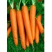 MARCHEW JOBA F1 50 GR
