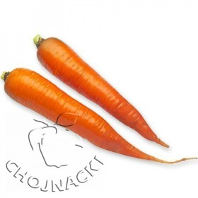 MARCHEW KAROTAN PRECYZYJNE 1,40-1,60 MM RZ 1 100 TYS ST