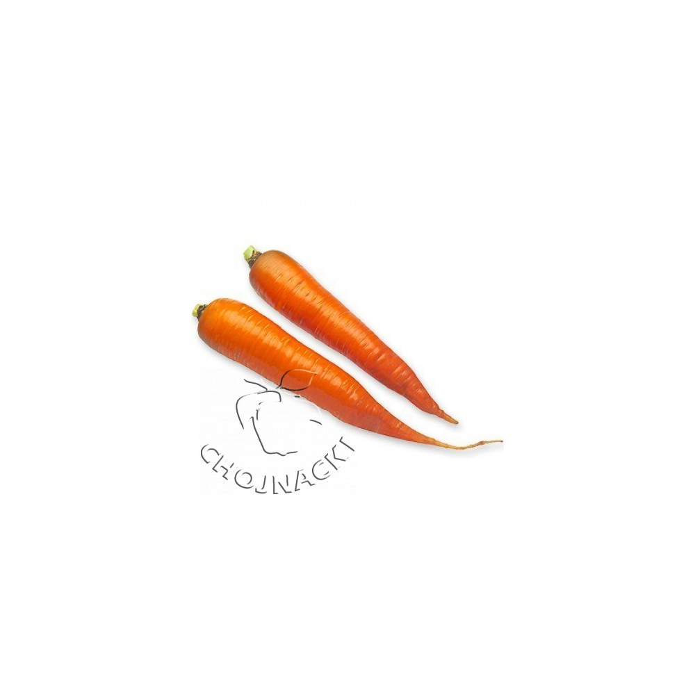 MARCHEW KAROTAN PRECYZYJNE 1,40-1,60 MM RZ 1 100 TYS ST