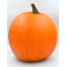 DYNIA HALLOWEEN ZOMBIE F1 PMT 1000N ST