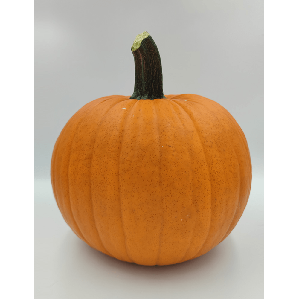 DYNIA HALLOWEEN PREMIUM RACER 1000N ST