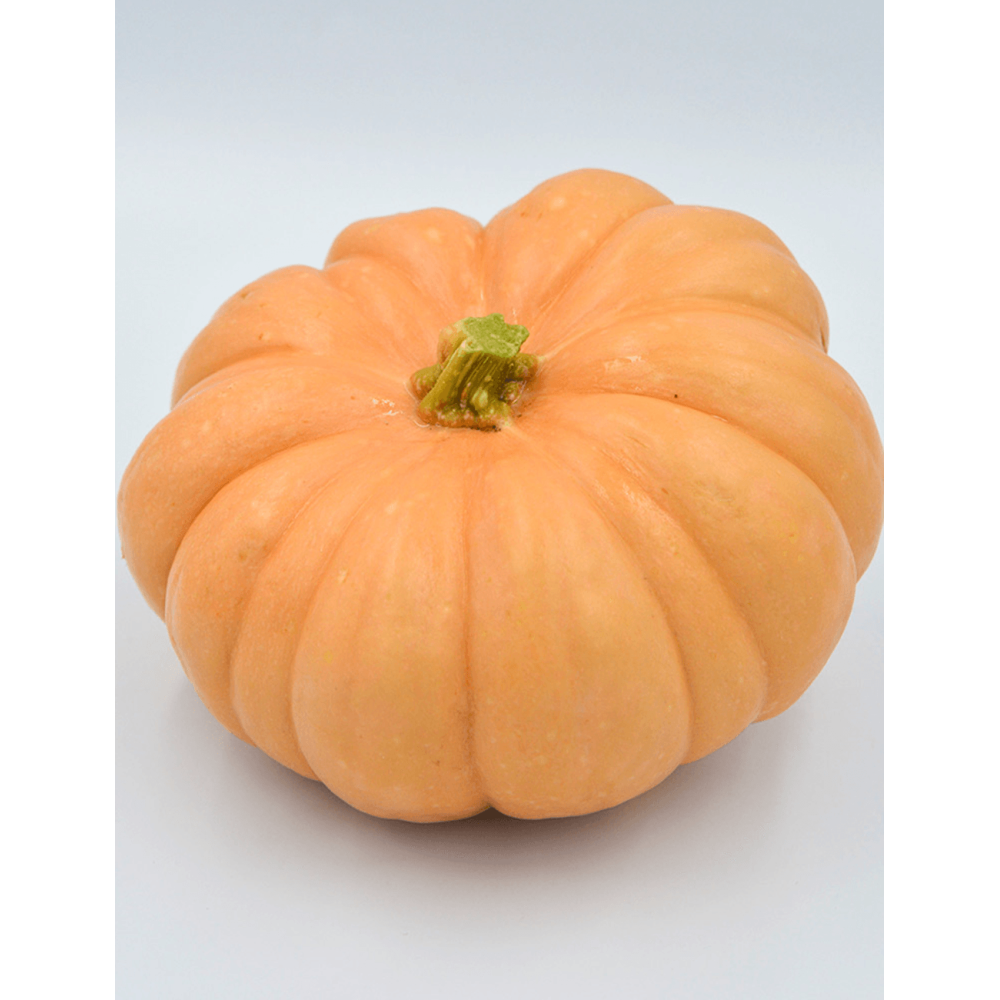 DYNIA AUTUMN CROWN F1 250N ST