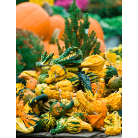 DYNIA OZDOBNA AUTUMN WING L 1000N ST