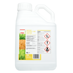 CUADRO 250 EC regulator wzrostu 🌾 ochrona przed wyleganiem