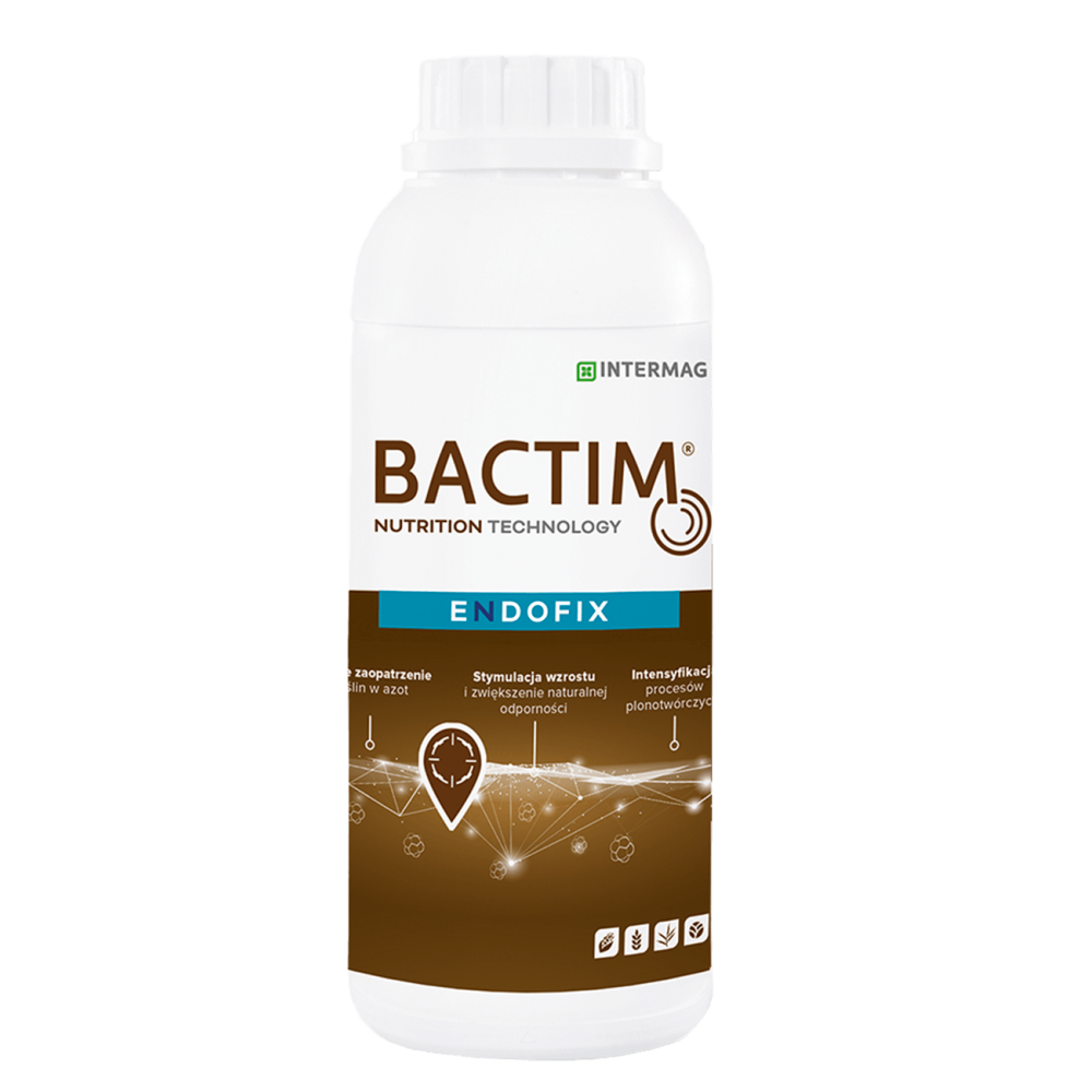 BACTIM ENDOFIX 1L