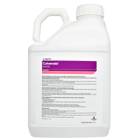 Fungicyd układowy Colverado 240 EC do ochrony i regulacji rzepaku ozimego i jarego