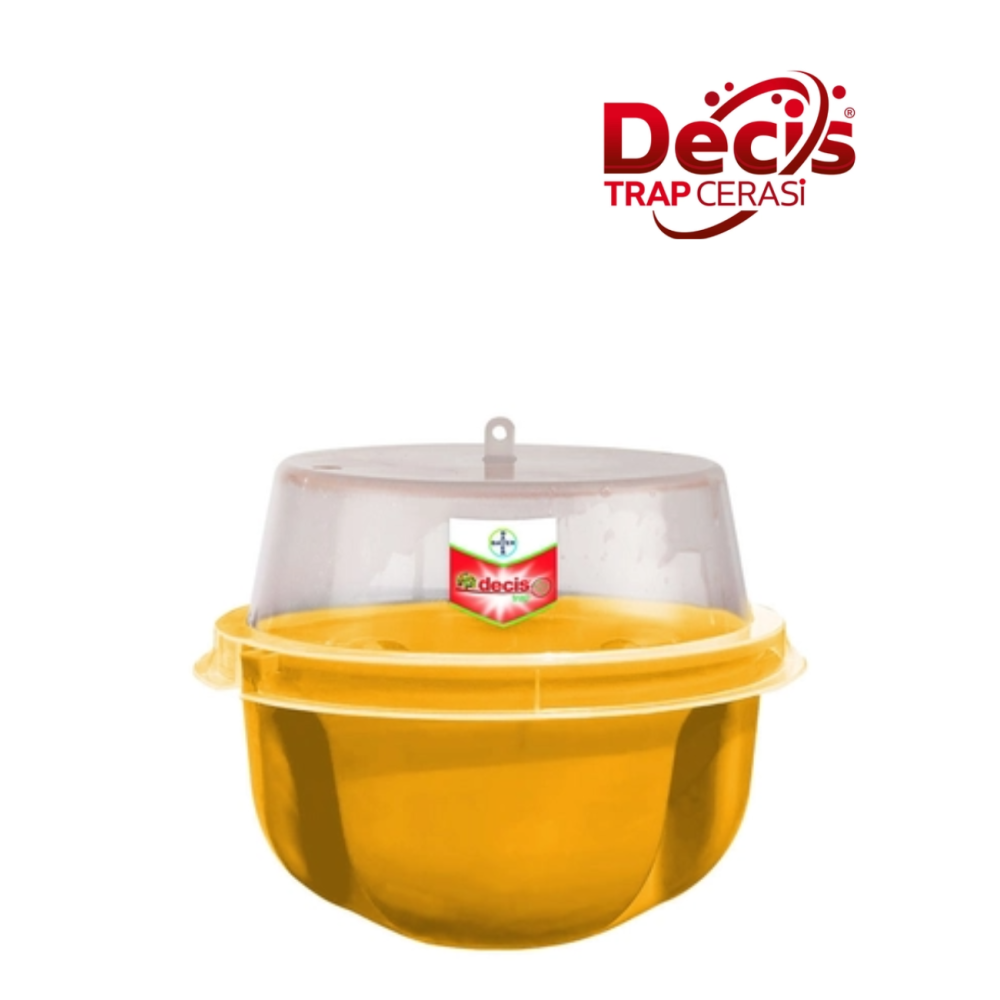 DECIS TRAP CERASI PUŁAPKA