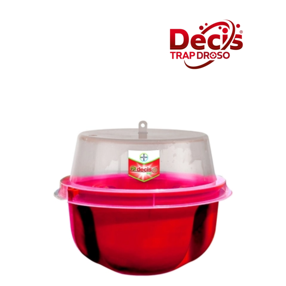 DECIS TRAP DROSO PUŁAPKA