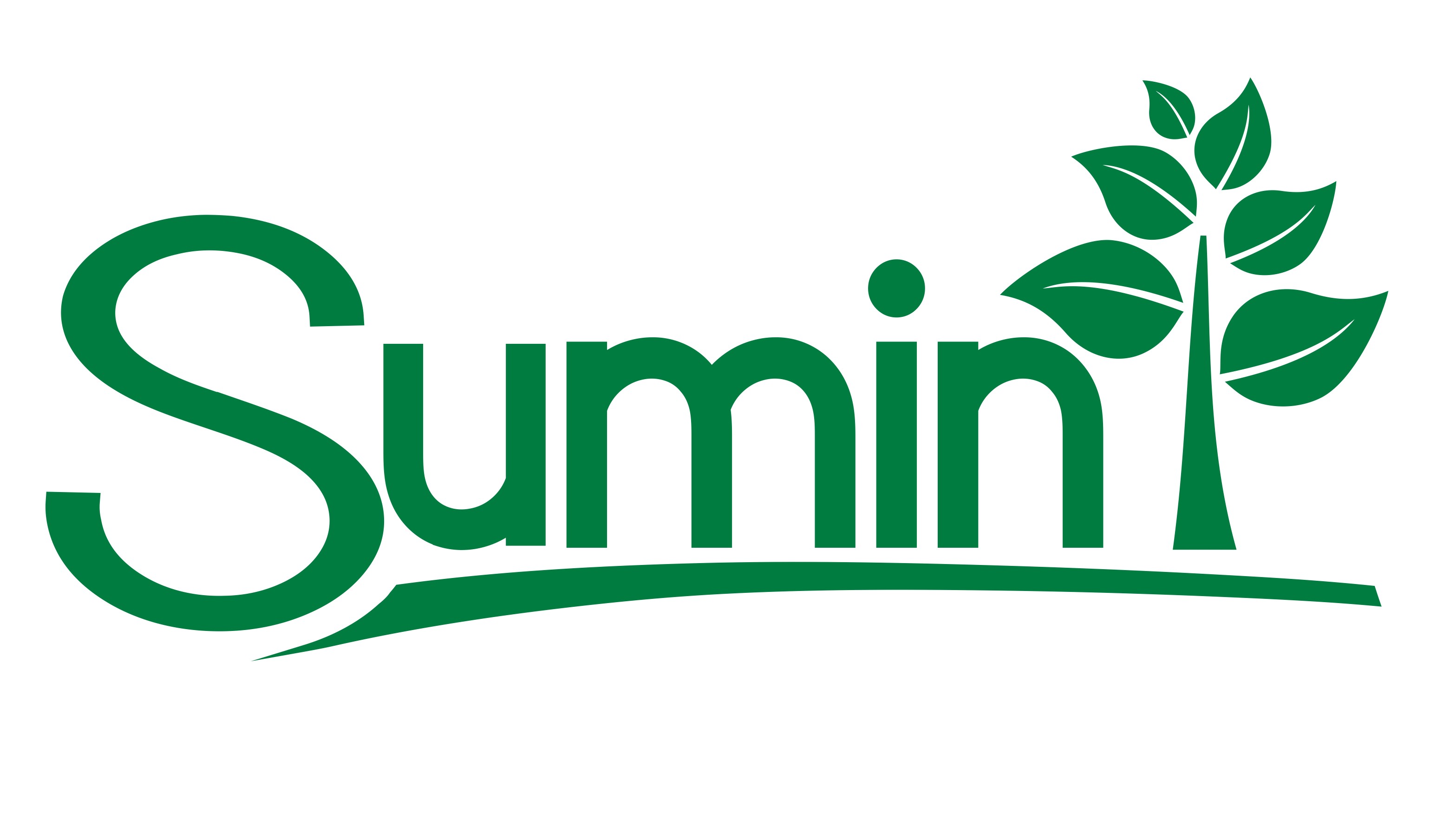 SUMIN