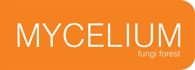 Mycelium