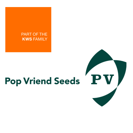 PV Seeds