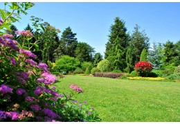 Cynk w uprawie roślin – znaczenie, objawy niedoborów i sposoby nawożenia