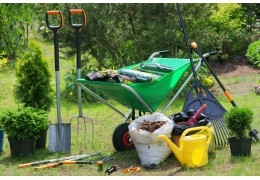 Miedź w uprawie roślin – znaczenie, objawy niedoborów i sposoby nawożenia
