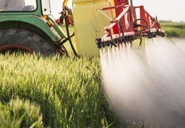 Zabieg T2 w zbożach – termin i skuteczna ochrona liścia flagowego