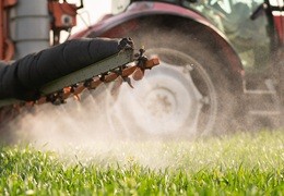 Systemiczne środki ochrony roślin - czym są i jak działają?