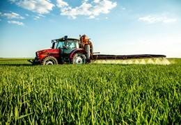 Zabieg T1 w zbożach – kiedy wykonać i o czym pamiętać?