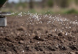 Z czym nie mieszać nawozów wapniowych? Najważniejsze zasady