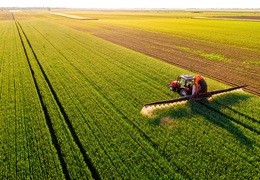 Kiedy wykonać T1 i T2 w zbożach? Terminy, fazy BBCH i praktyczne wskazówki