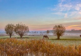 Listopad w rolnictwie - zamknięcie sezonu i planowanie na przyszły rok