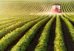 Środki ochrony roślin - jak prawidłowo i bezpiecznie je przechowywać i utylizować?