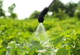 Etykiety środków ochrony roślin - jak je czytać?