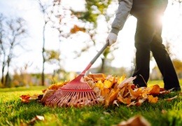 Ogród w październiku - sadzenie cebul kwiatowych i zamykanie sezonu