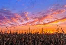 Październik w rolnictwie - orka przedzimowa i ochrona ozimin