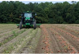 Naturalni sprzymierzeńcy rolnika – biologiczne metody ochrony roślin