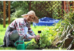 Mangan w rozwoju roślin – znaczenie, objawy niedoborów i sposoby nawożenia