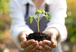 Zasady integrowanej ochrony roślin krok po kroku